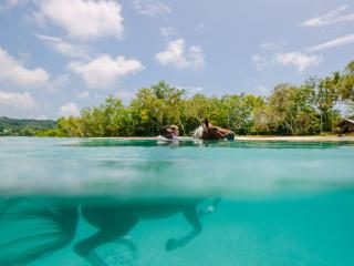 Vanuatu: Your Next Adventure Holiday